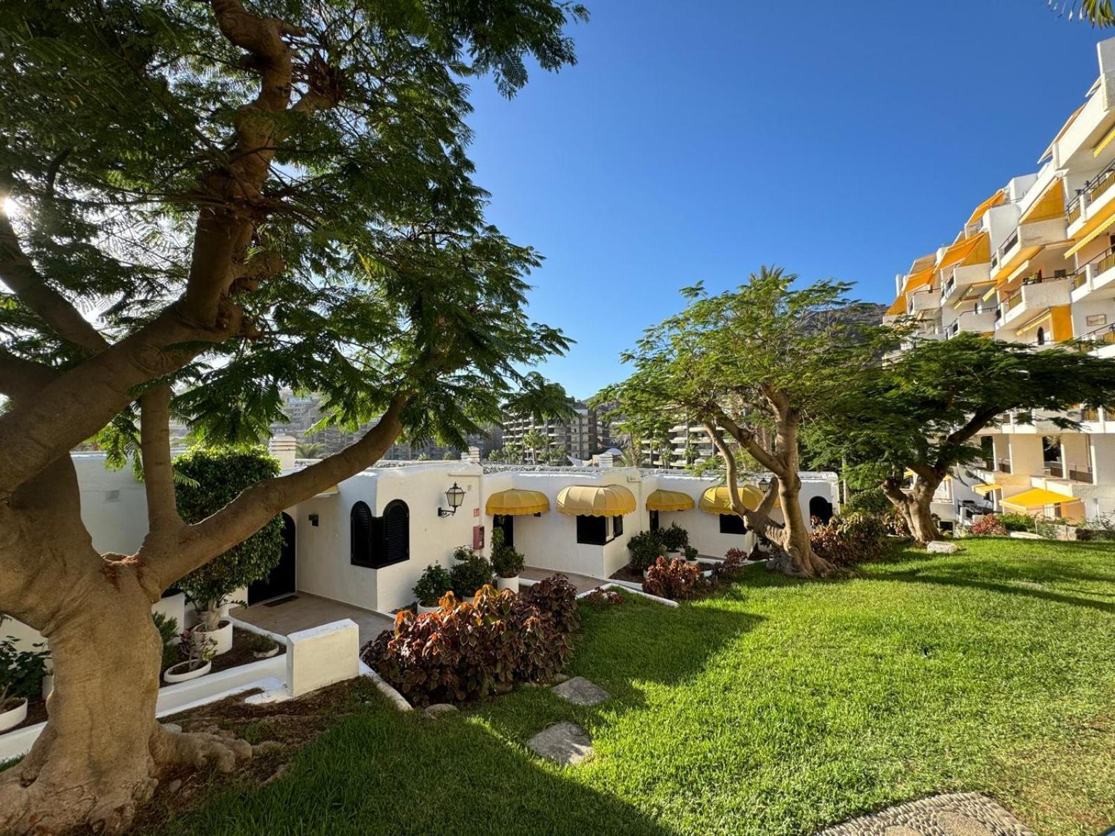Los Caideros Aquamarina Apartament מראה חיצוני תמונה